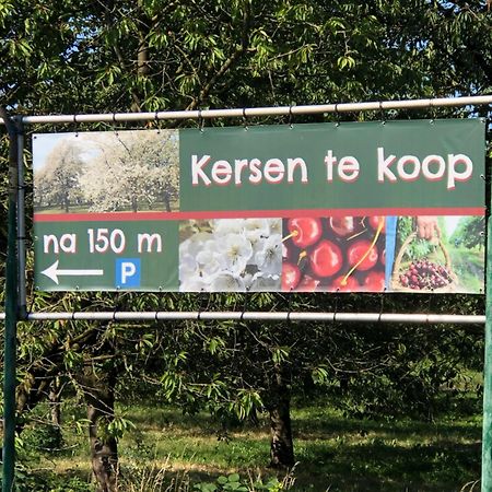 Gastenverblijf Op De Prins Hendrik Hoeve In Buren Buren  Esterno foto