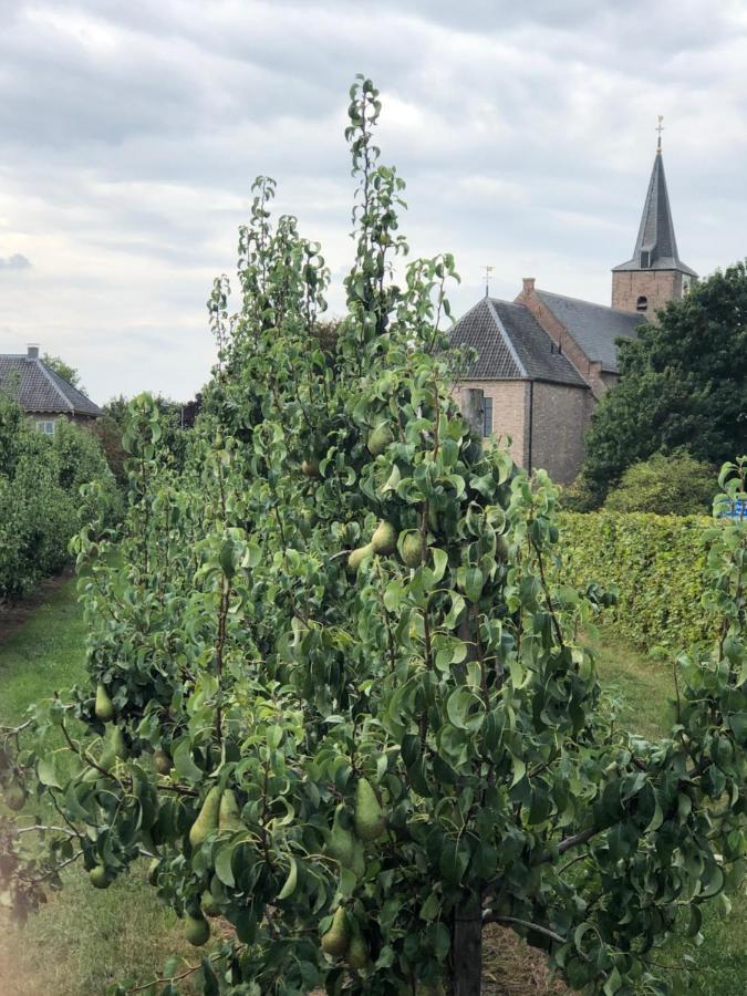 Gastenverblijf Op De Prins Hendrik Hoeve In Buren Buren  Esterno foto