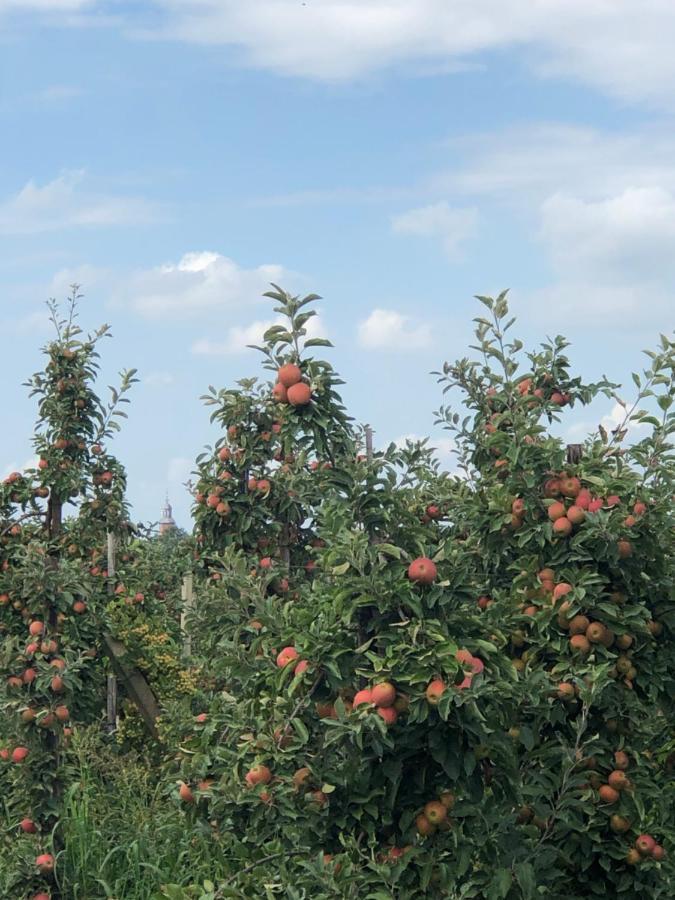Gastenverblijf Op De Prins Hendrik Hoeve In Buren Buren  Esterno foto